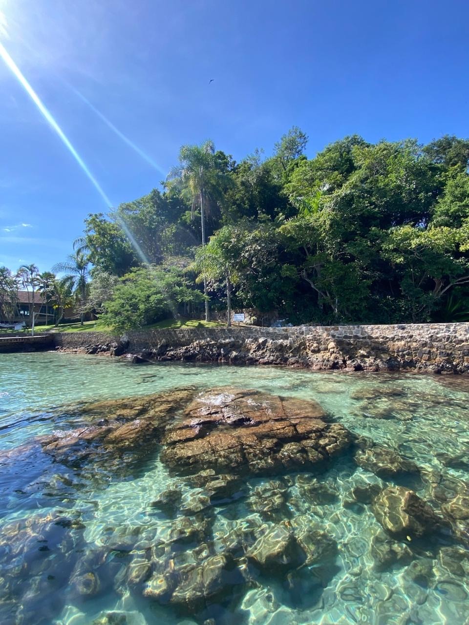 Água transparente sobre as pedras, com mata e palmeiras na ilha, em Paraty