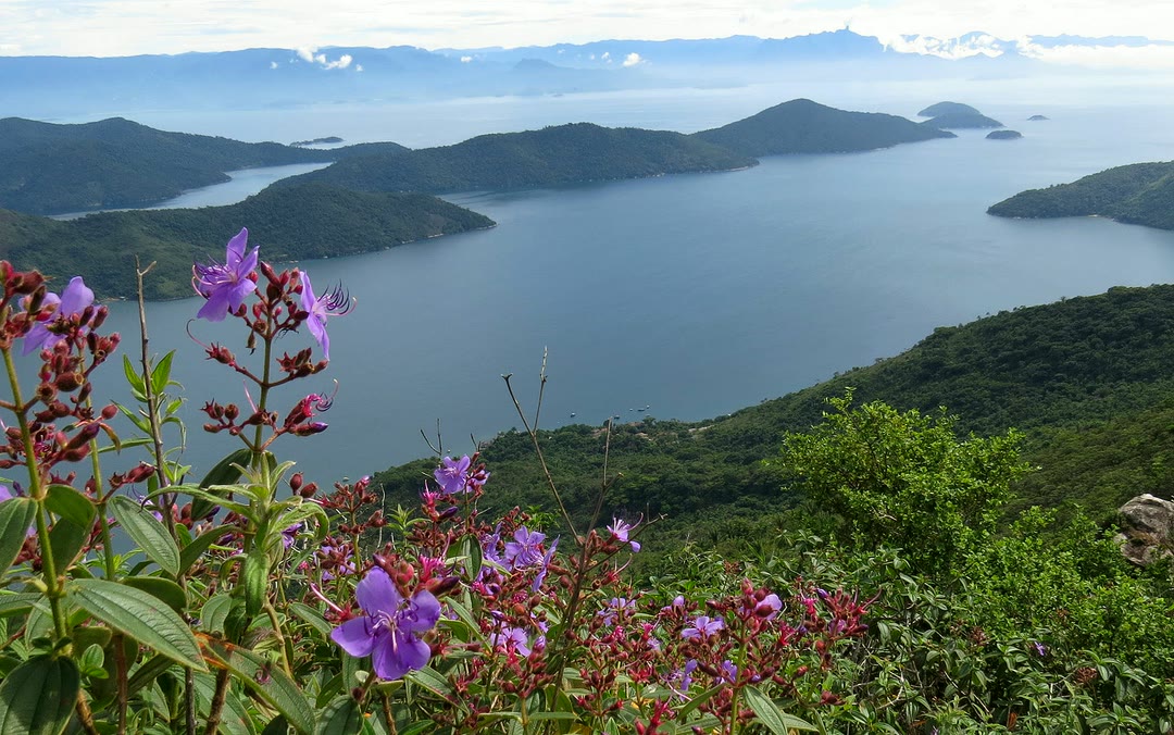 Baía de Paraty vista do alto, com ilhas e montanhas